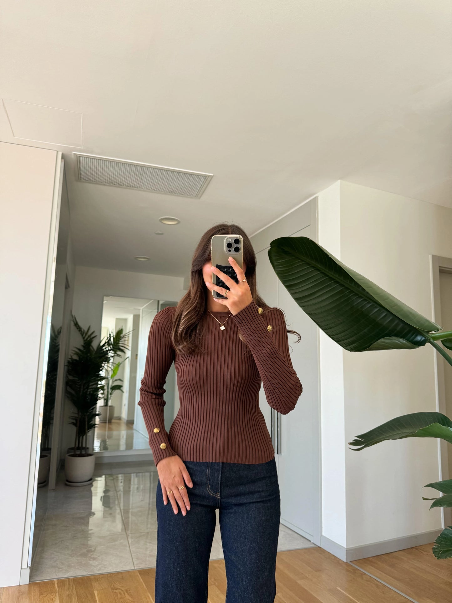 Basic Brown Ribbed Pullover With Golden Buttons